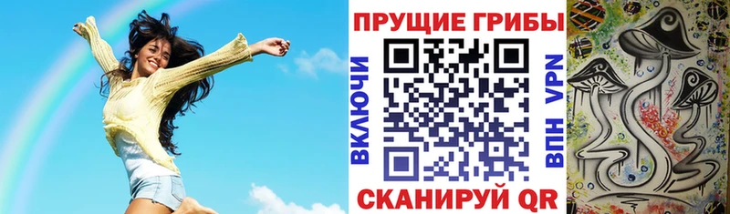 Галлюциногенные грибы мухоморы  блэк спрут   Псков  магазин   