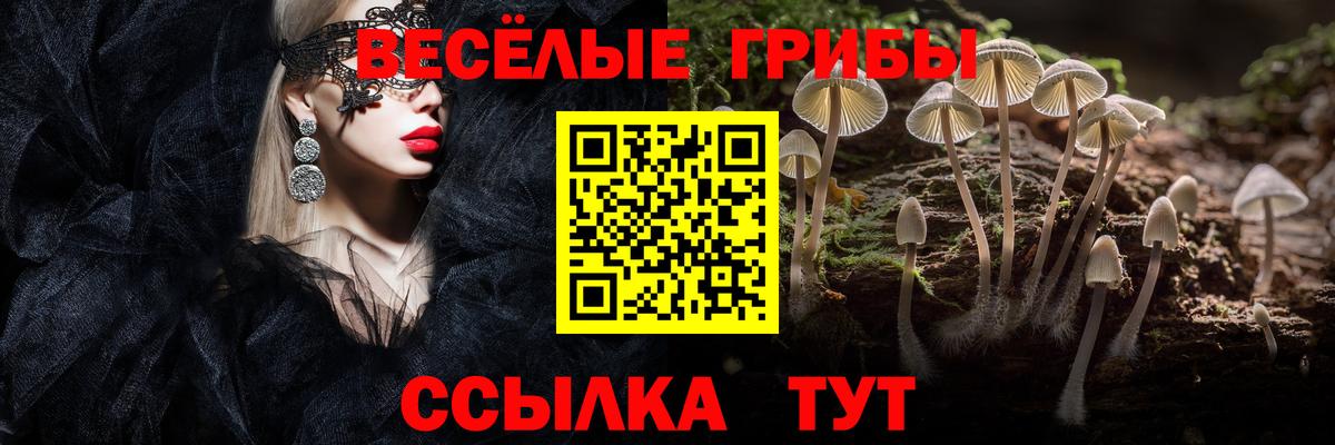 Псилоцибиновые грибы MAGIC MUSHROOMS  Вход с VPN  Псилоцибиновые грибы Psilocybe  продажа наркотиков  Псков 